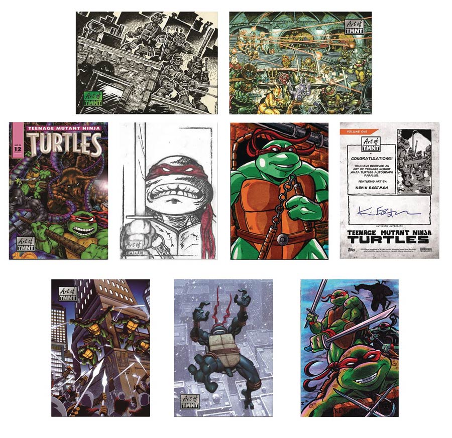 Topps 2019 Art Of The Teenage Mutant Ninja Turtles Trading Cards Box