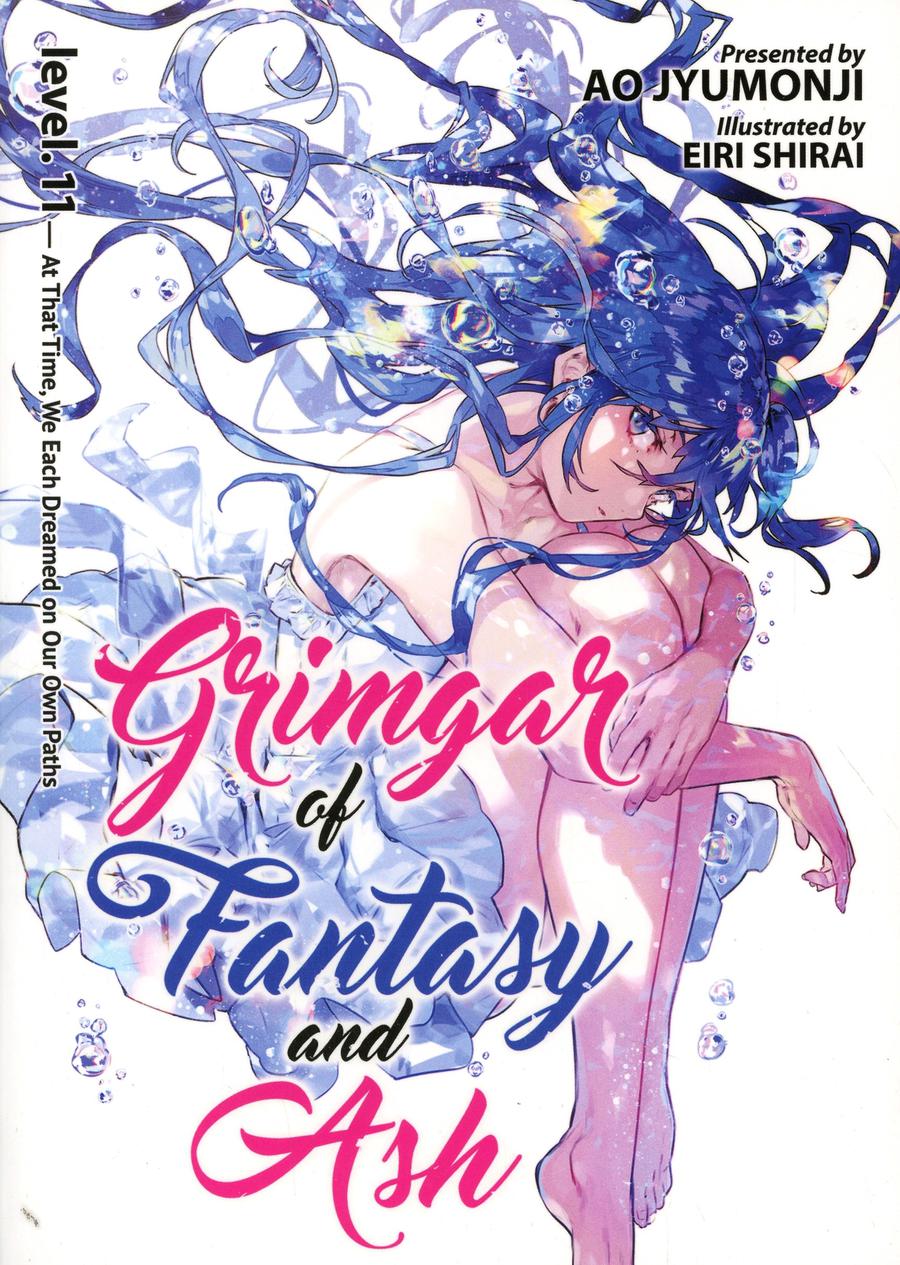 Grimgar Of Fantasy & Ash Light Novel Vol 11