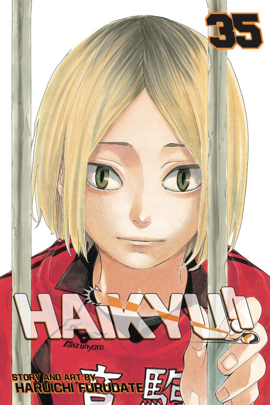 Haikyu Vol 35 GN