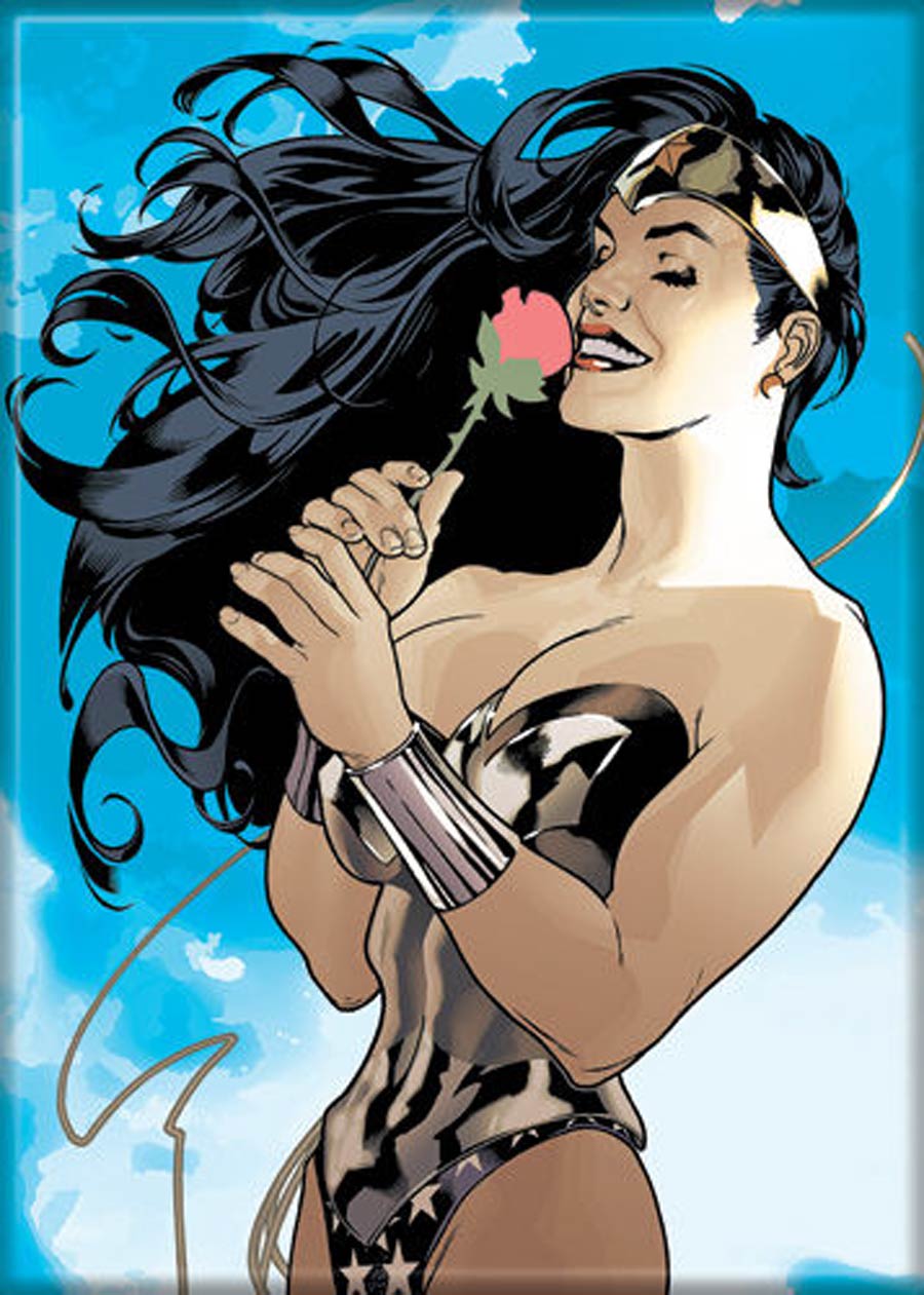 DC Comics Wonder Woman #178 2.5x3.5-inch Magnet (73443DC)