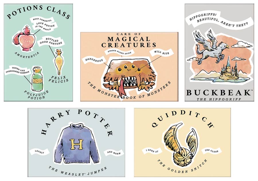 Harry Potter Whimsy Magnet 36-Piece Assortment Case