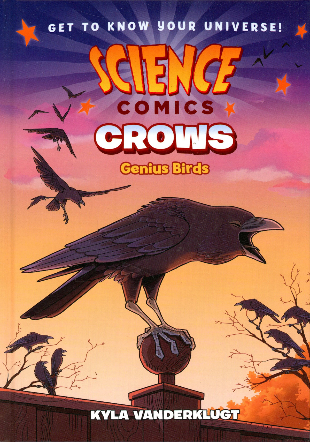 Science Comics Crows Bird Geniuses HC