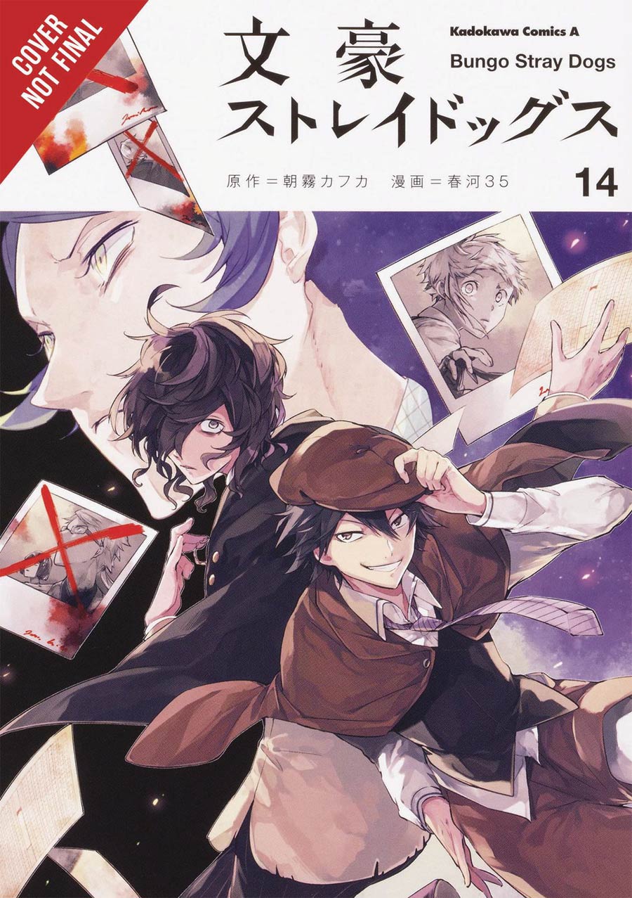 Bungo Stray Dogs Vol 14 GN