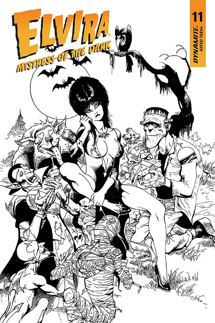 Elvira Mistress Of The Dark Vol 2 #11 Cover G Incentive Roberto Castro Black & White Cover
