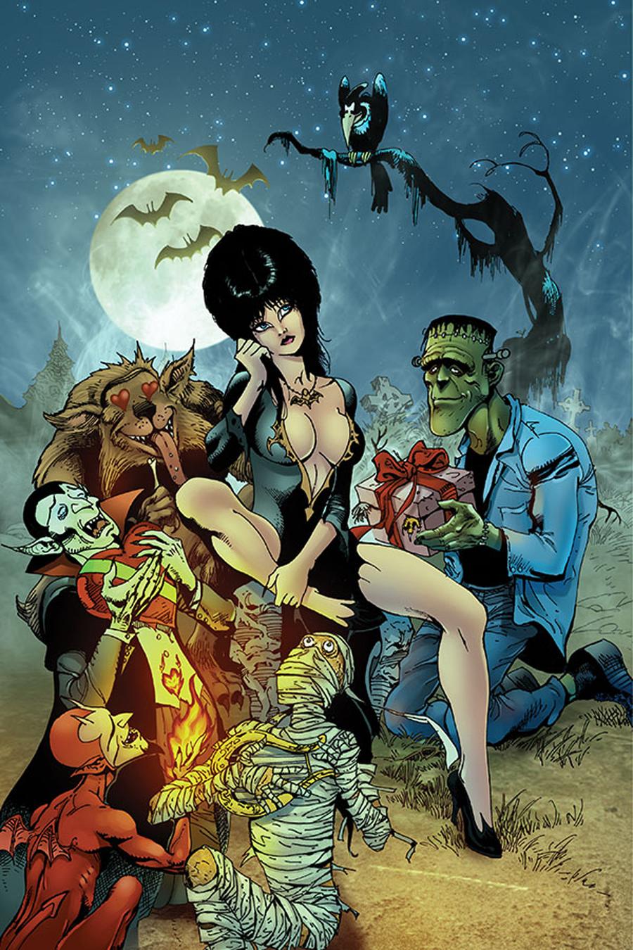 Elvira Mistress Of The Dark Vol 2 #11 Cover H Incentive Roberto Castro Virgin Cover