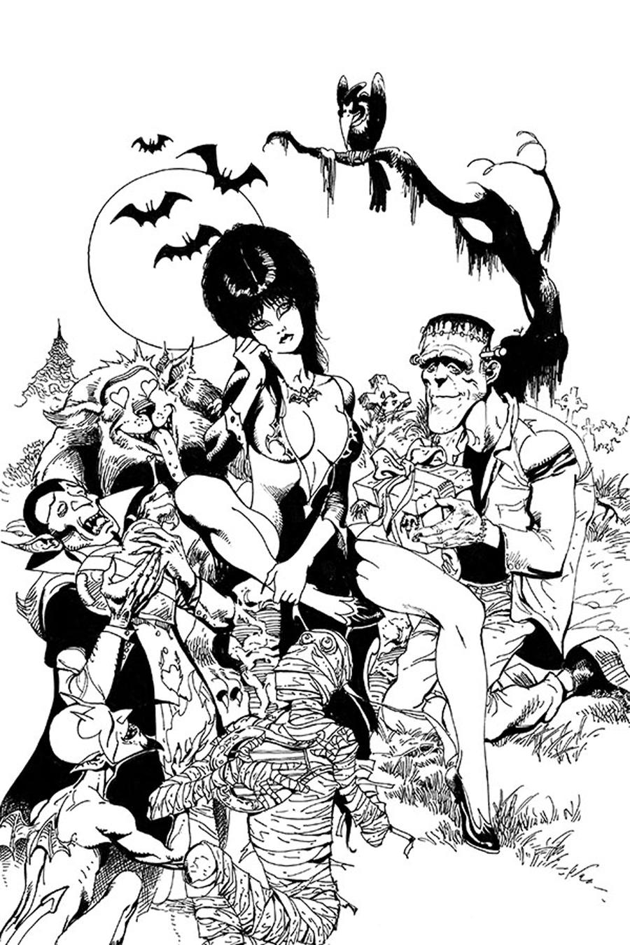 Elvira Mistress Of The Dark Vol 2 #11 Cover J Incentive Roberto Castro Black & White Virgin Cover
