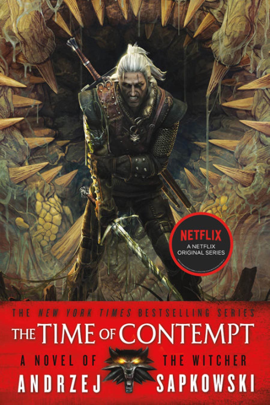 Time Of Contempt Witcher Vol 4 TP