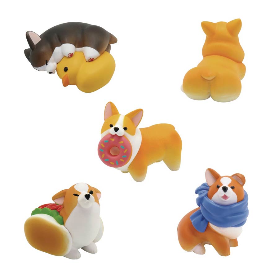 Animal Life The Daily Corgi Mini Figure Blind Mystery Box 6-Piece Display