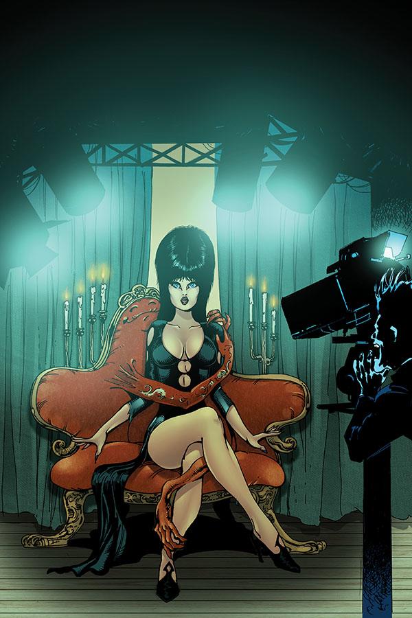 Elvira Mistress Of The Dark Vol 2 #12 Cover H Incentive Roberto Castro Virgin Cover