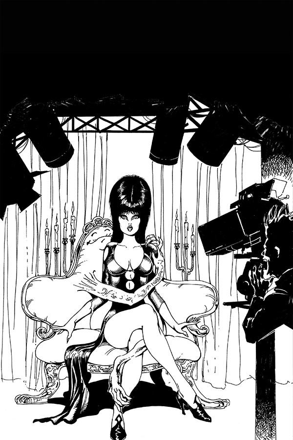 Elvira Mistress Of The Dark Vol 2 #12 Cover J Incentive Roberto Castro Black & White Virgin Cover