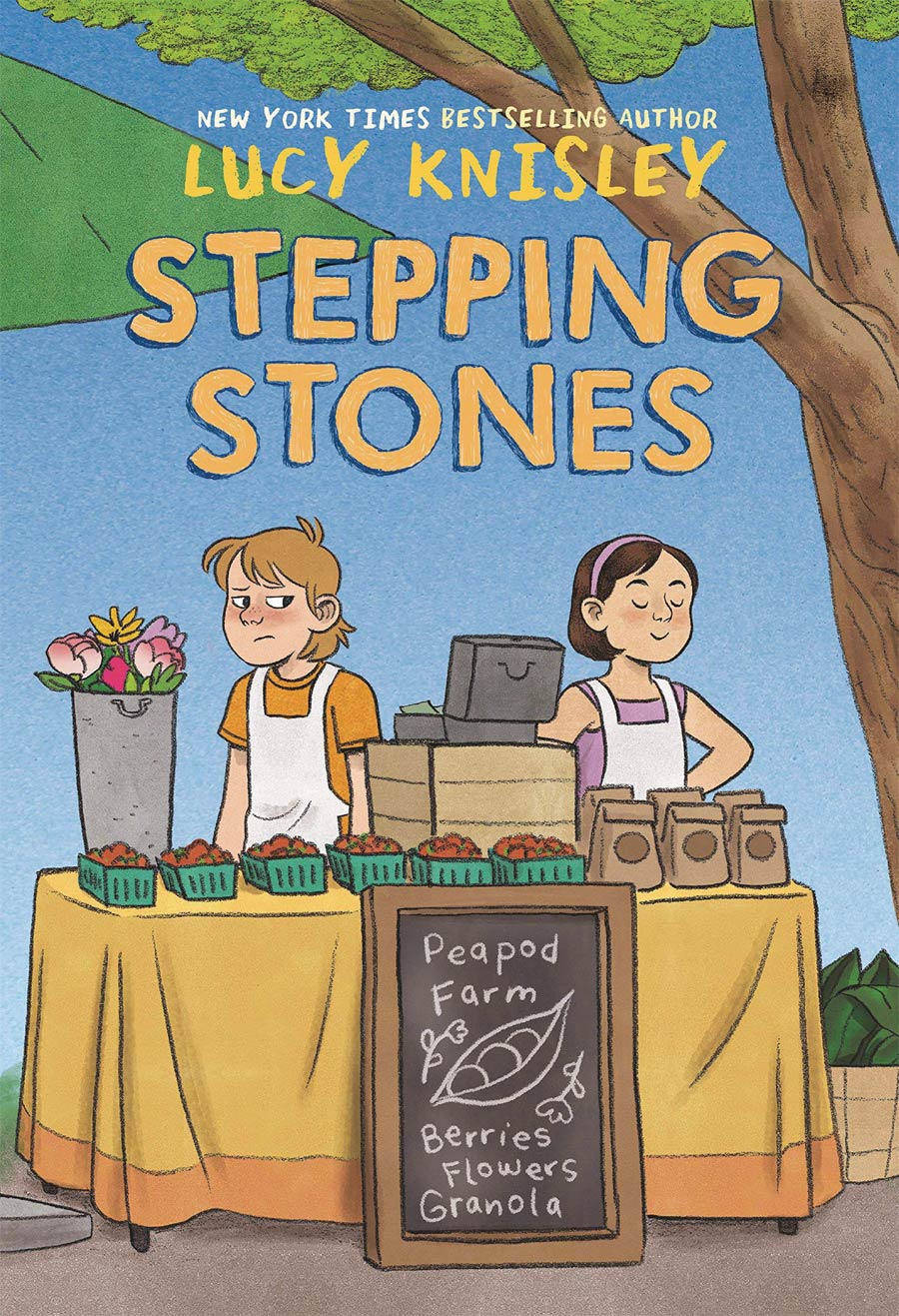 Stepping Stones Vol 1 TP