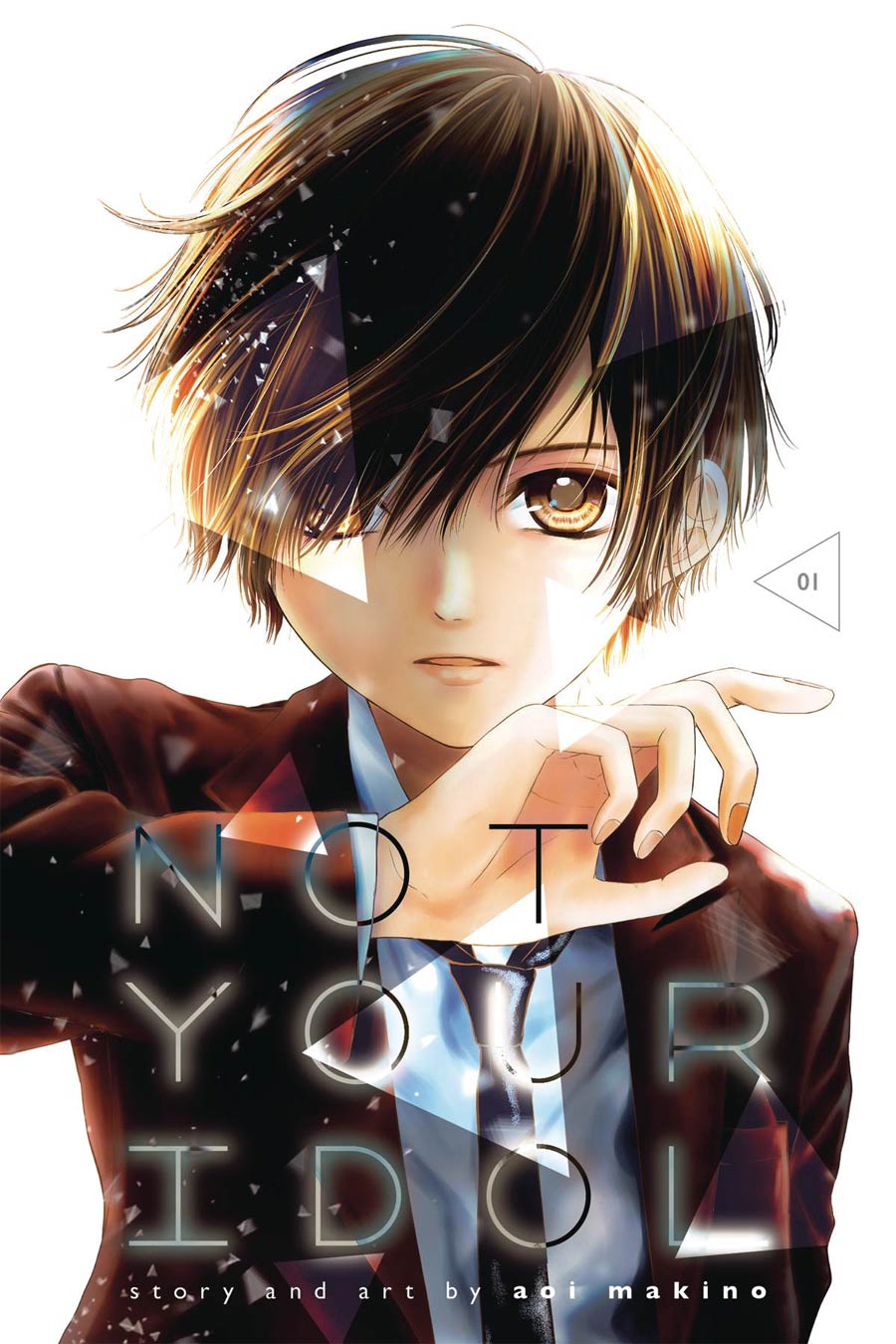 Not Your Idol Vol 1 GN