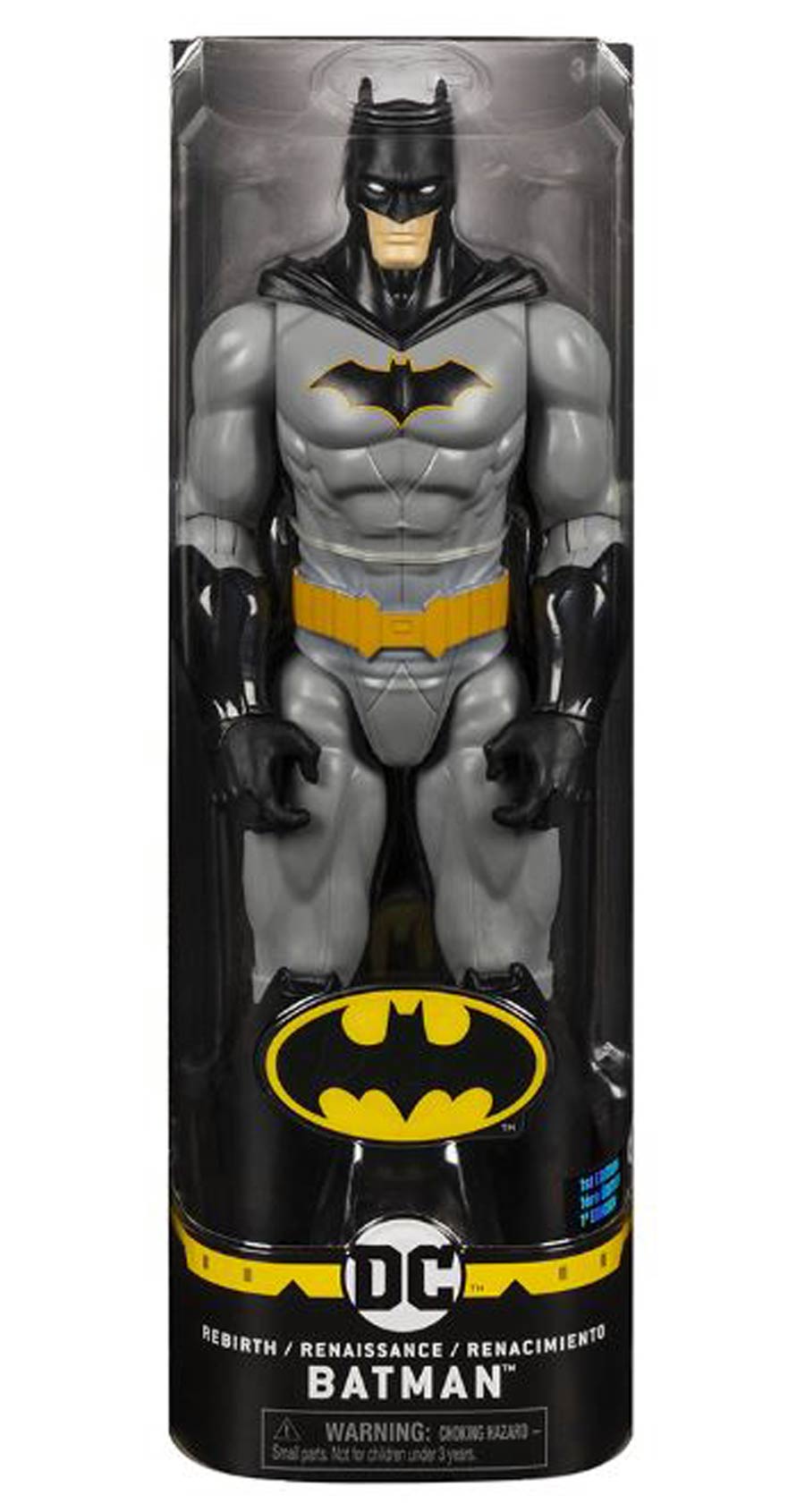 Batman 12-Inch Action Figure Assortment 202001 - Batman Rebirth