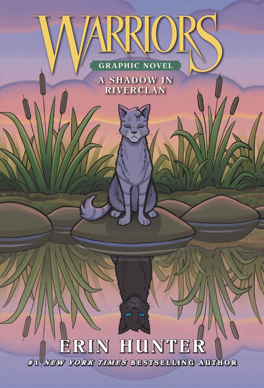 Warriors Shadow In Riverclan HC