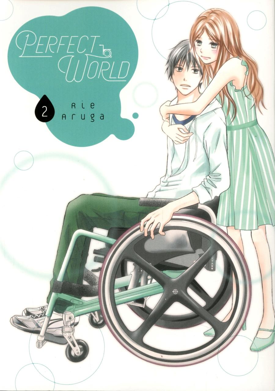 Perfect World Vol 2 GN