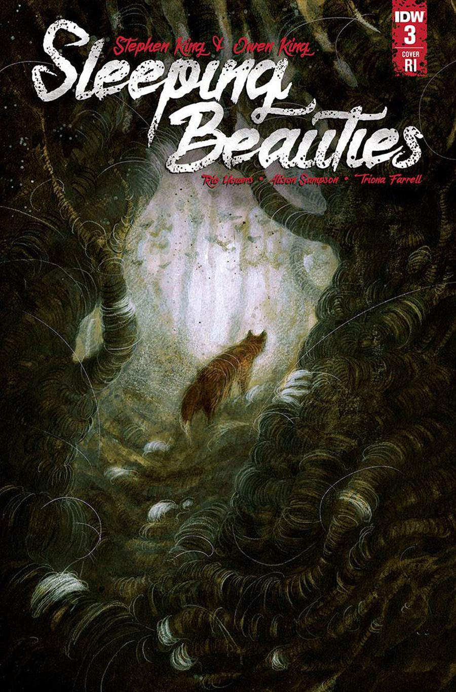 Sleeping Beauties #3 Cover C Incentive Jana Heidersdorf Variant Cover