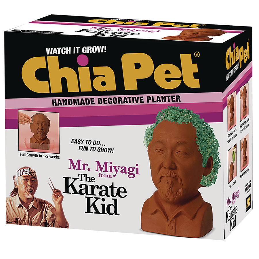 Chia Pet - Karate Kid Mr Miyagi