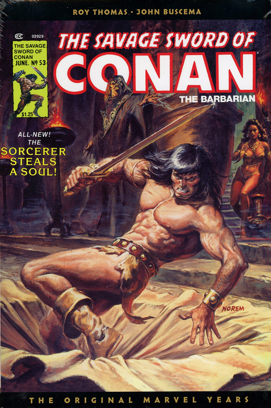 Savage Sword Of Conan Original Marvel Years Omnibus Vol 4 HC Direct Market Earl Norem Variant Cover
