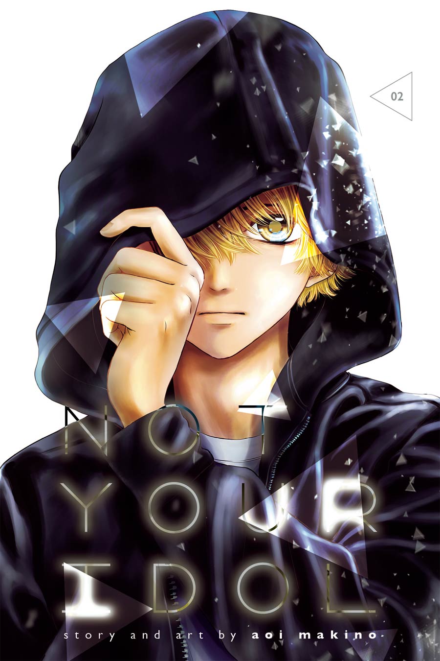 Not Your Idol Vol 2 GN