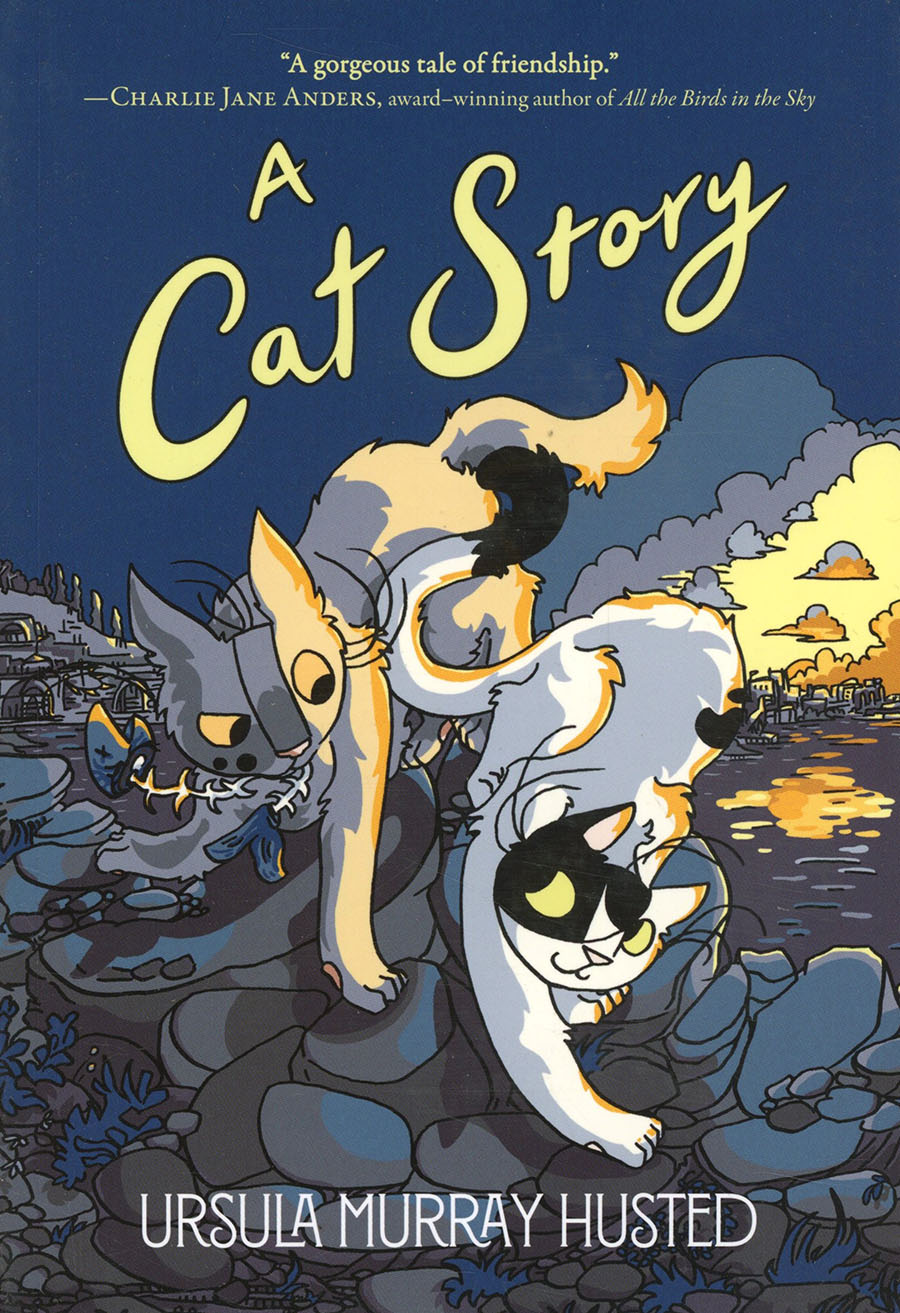 A Cat Story TP