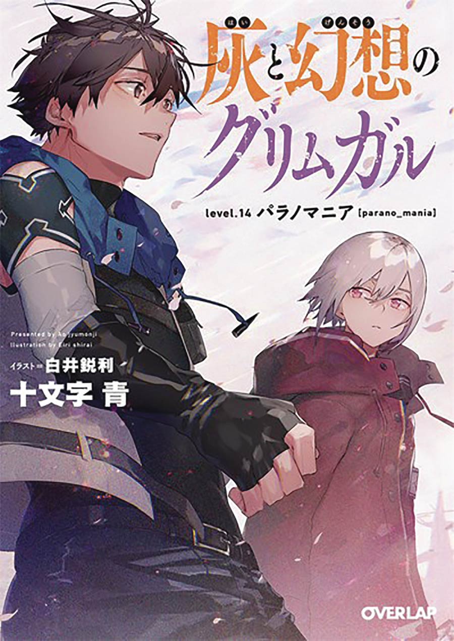 Grimgar Of Fantasy & Ash Light Novel Vol 14