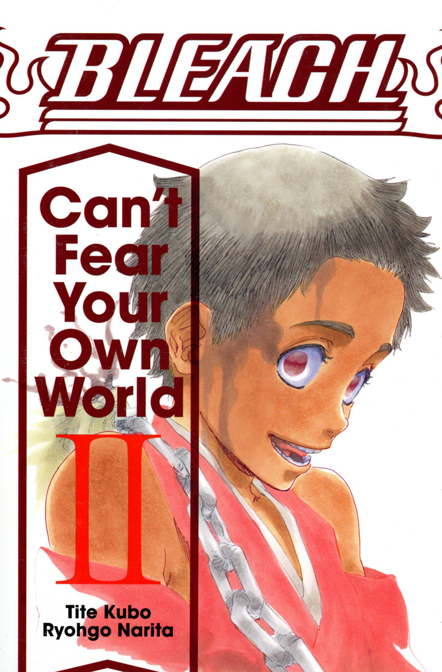 Bleach Cant Fear Your Own World Vol 2 TP
