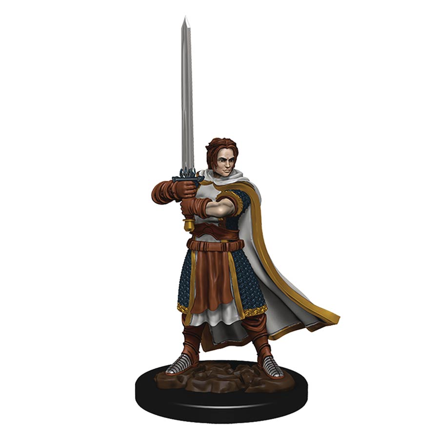 Dungeons & Dragons Icons Of The Realms Premium Painted Figure - Human Cleric (Male)
