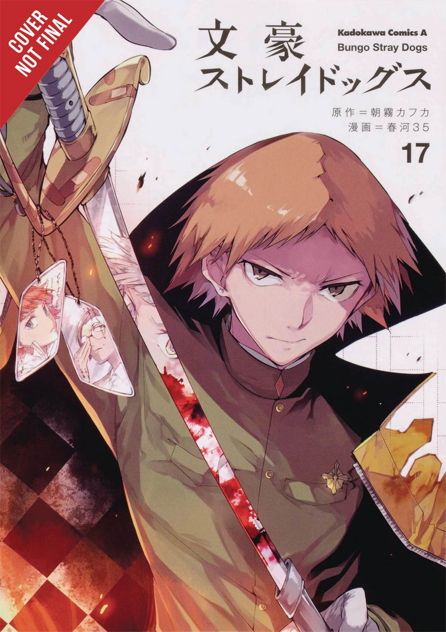 Bungo Stray Dogs Vol 17 GN
