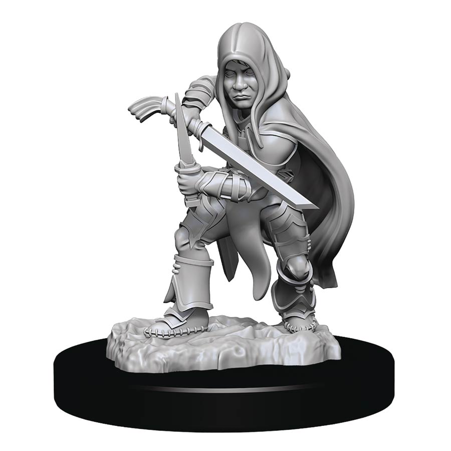 Dungeons & Dragons Nolzars Marvelous Unpainted Miniature - Halfling Rogue Male