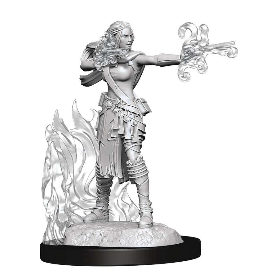 Dungeons & Dragons Nolzars Marvelous Unpainted Miniature - Multiclass Warlock Sorcerer Female