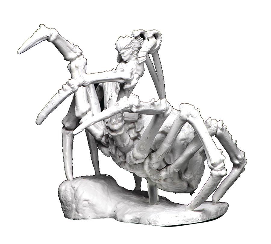 Dungeons & Dragons Nolzurs Marvelous Miniature - Drider