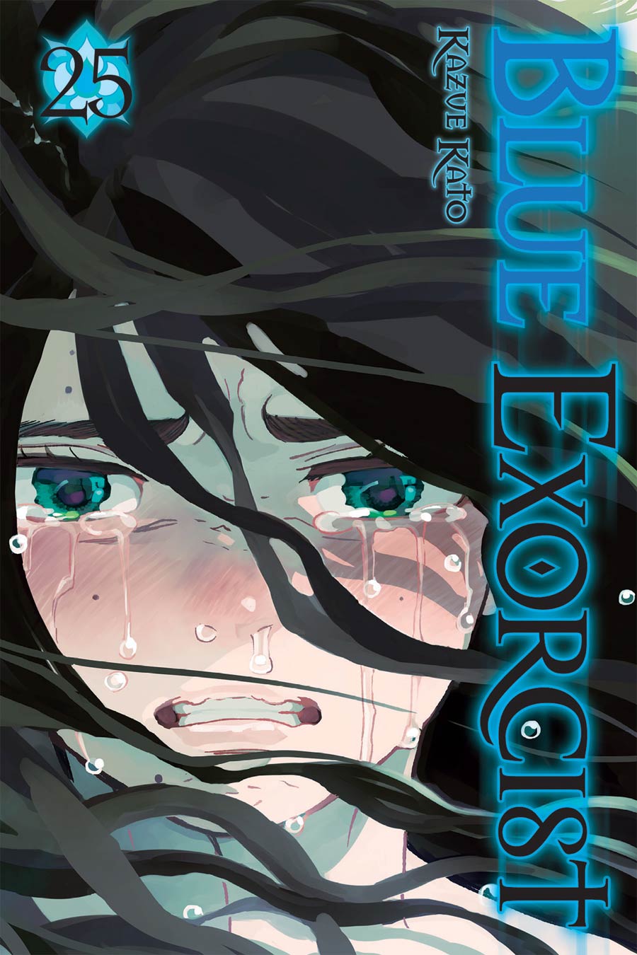 Blue Exorcist Vol 25 TP