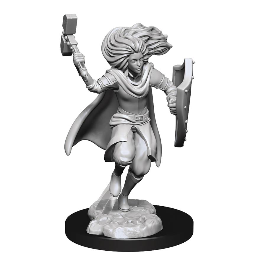 Dungeons & Dragons Nolzurs Marvelous Miniature - Changeling Cleric