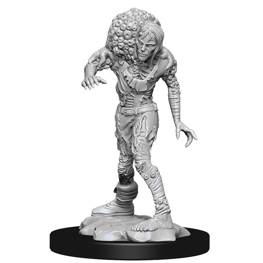 Dungeons & Dragons Nolzurs Marvelous Miniature - Drowned Assassin & Drowned Aseti