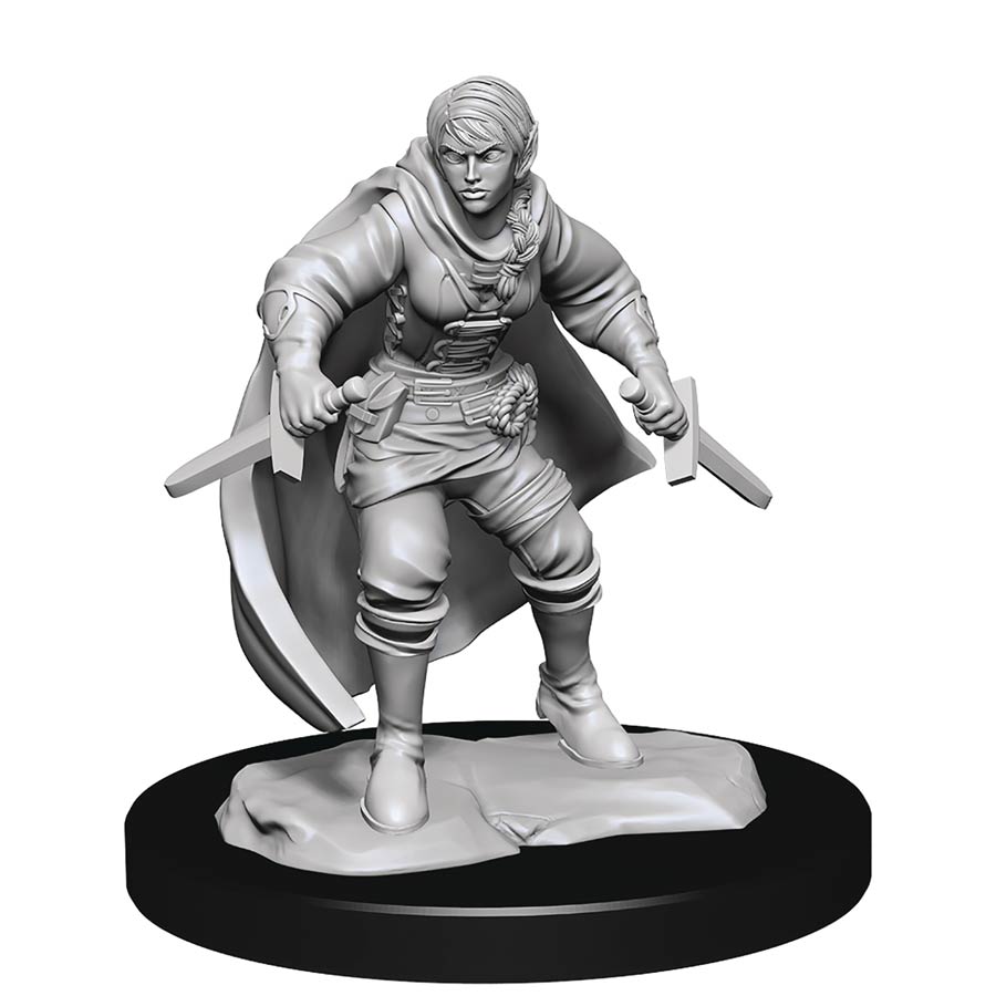 Dungeons & Dragons Nolzurs Marvelous Miniature - Half-Elf Rogue Female
