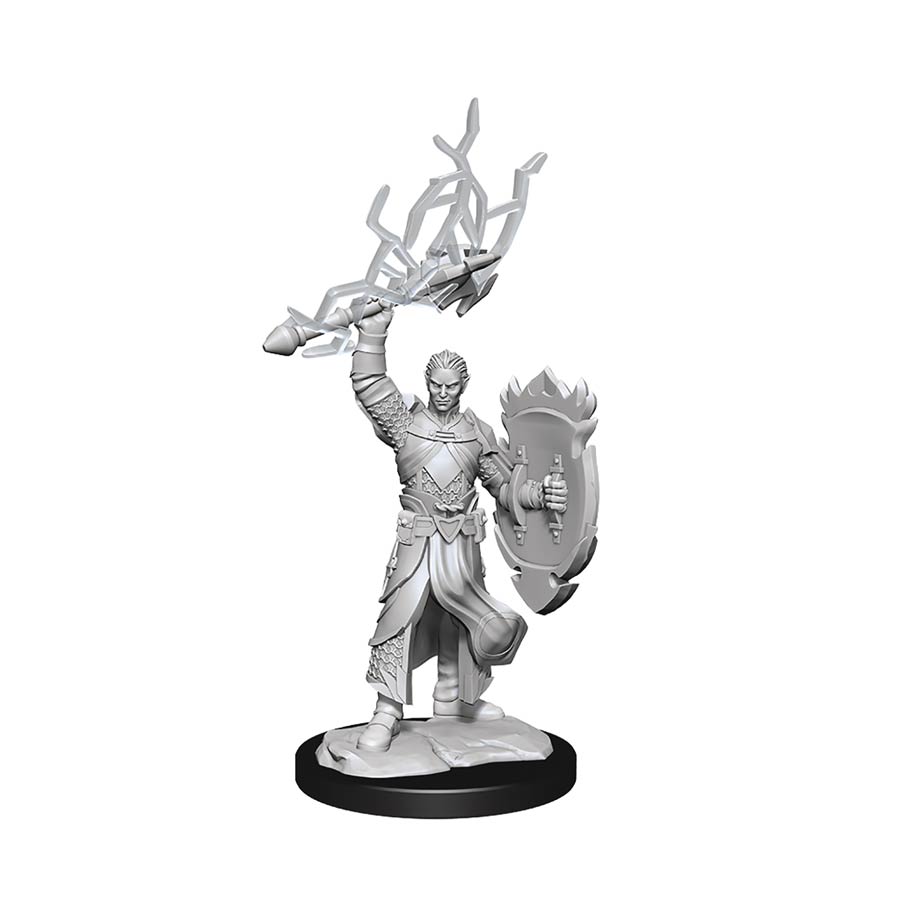 Dungeons & Dragons Nolzurs Marvelous Miniature - Half-Elf Paladin Male