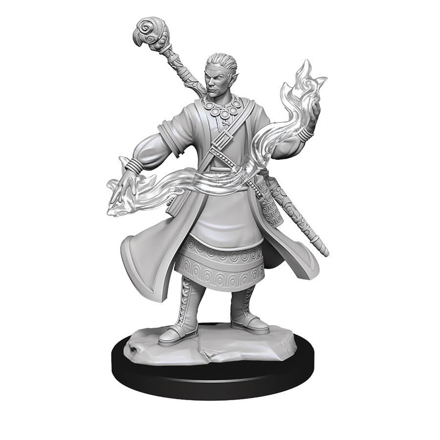 Dungeons & Dragons Nolzurs Marvelous Miniature - Half-Elf Wizard Male