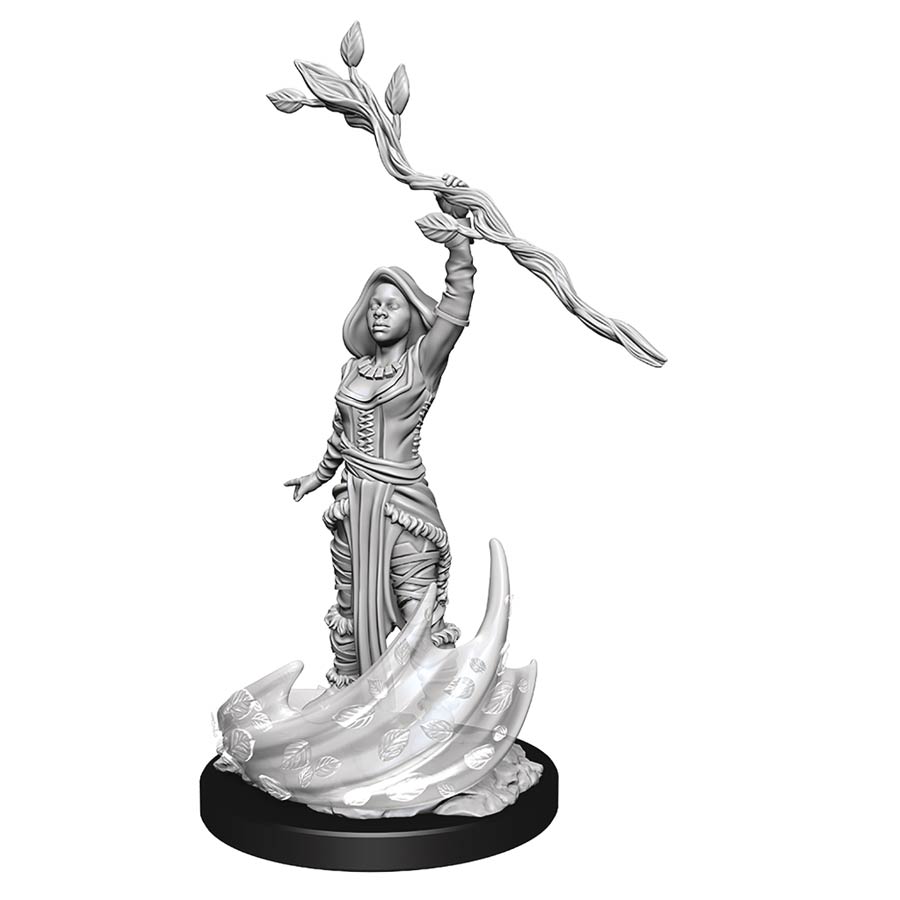 Dungeons & Dragons Nolzurs Marvelous Miniature - Human Druid Female