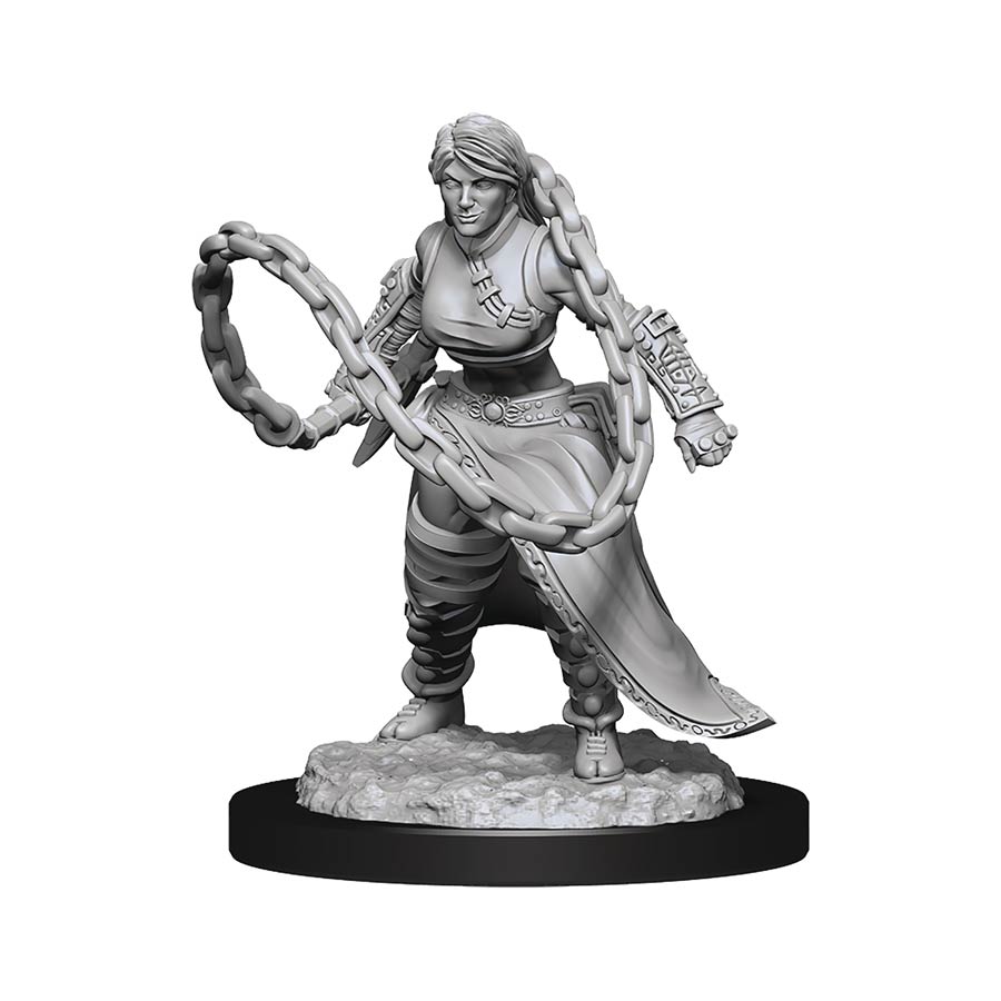 Dungeons & Dragons Nolzurs Marvelous Miniature - Human Monk Female