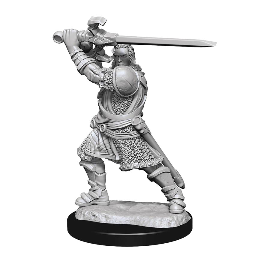 Dungeons & Dragons Nolzurs Marvelous Miniature - Human Paladin Male