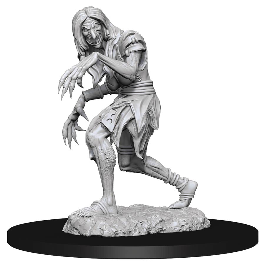 Pathfinder Battles Deep Cuts Miniature - Annis Hag & Green Hag