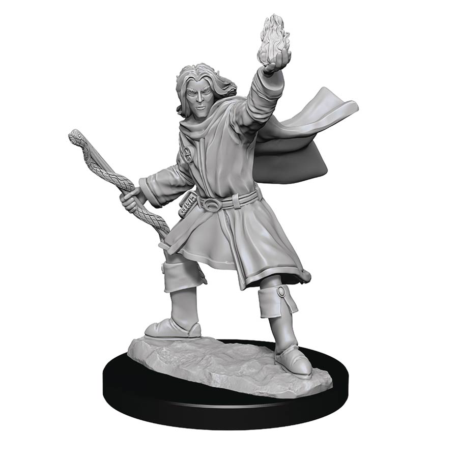 Pathfinder Battles Deep Cuts Miniature - Elf Sorcerer Male