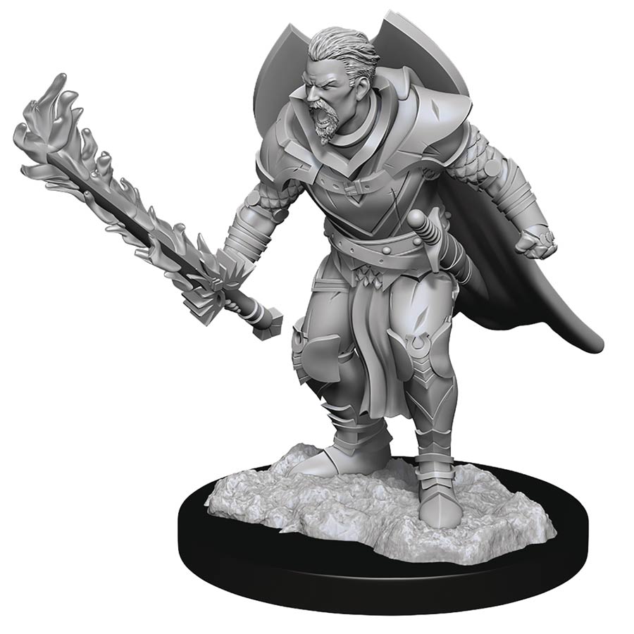 Pathfinder Battles Deep Cuts Miniature - Human Champion Male