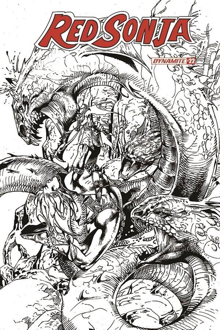 Red Sonja Vol 8 #22 Cover I Incentive Roberto Castro Black & White Cover