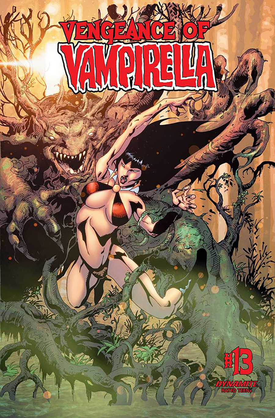 Vengeance Of Vampirella Vol 2 #13 Cover E Variant Roberto Castro Cover