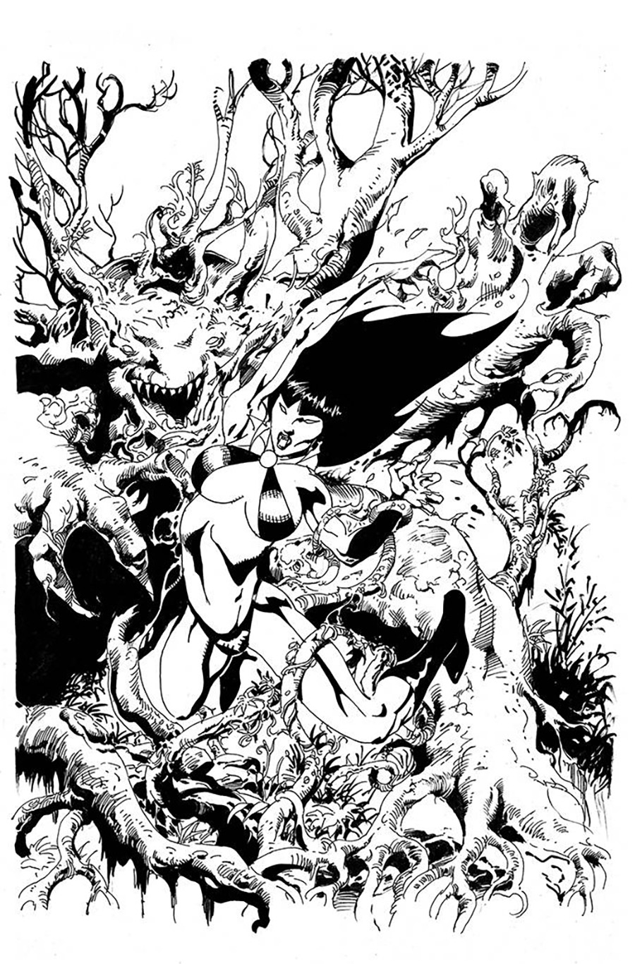 Vengeance Of Vampirella Vol 2 #13 Cover J Incentive Roberto Castro Black & White Virgin Cover