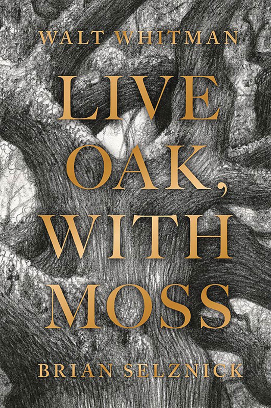 Live Oak With Moss Illustrated Poetry TP