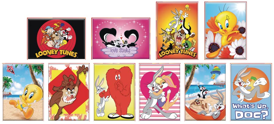 Looney Tunes Magnet 48-Piece Assortment Case