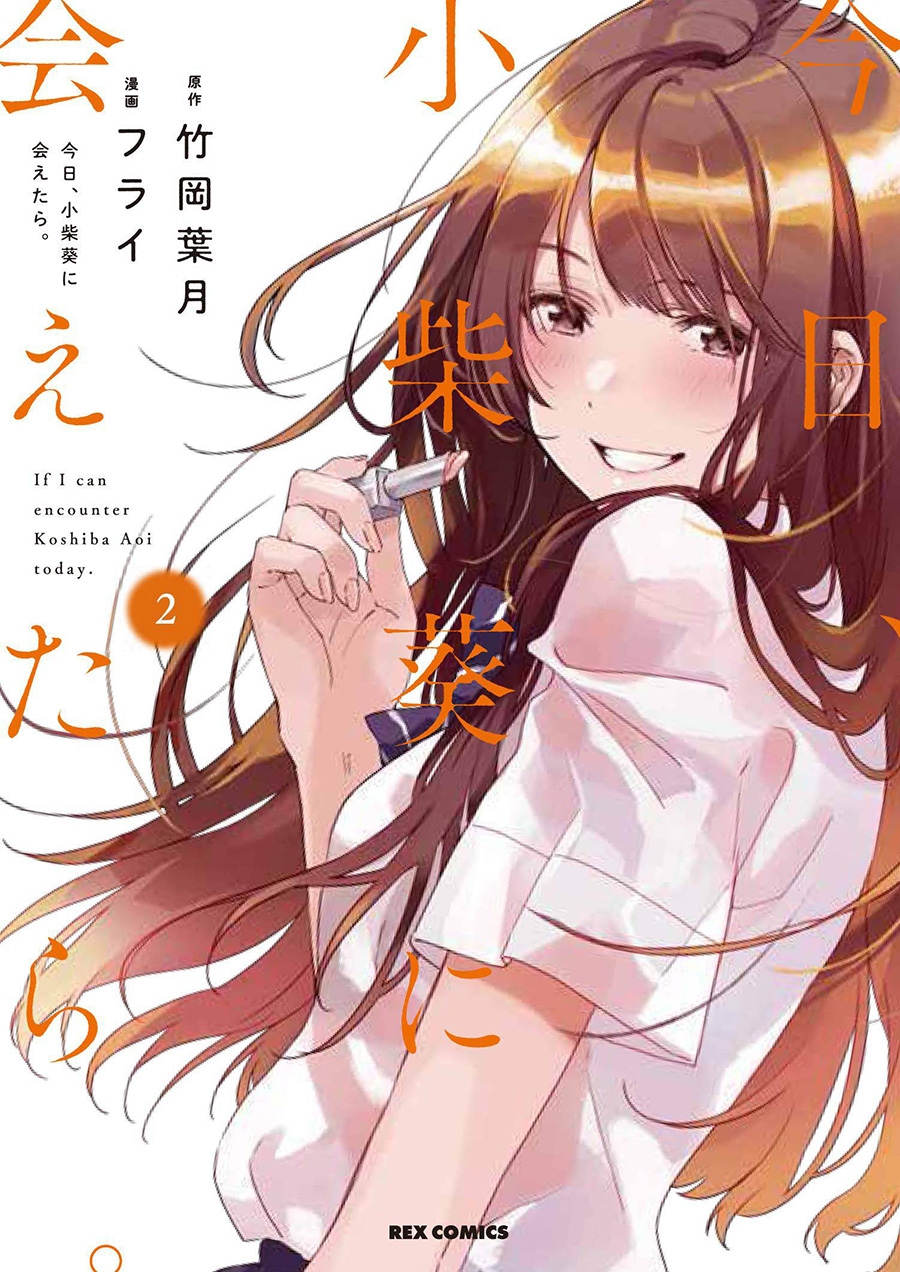 Chasing After Aoi Koshiba Vol 2 GN