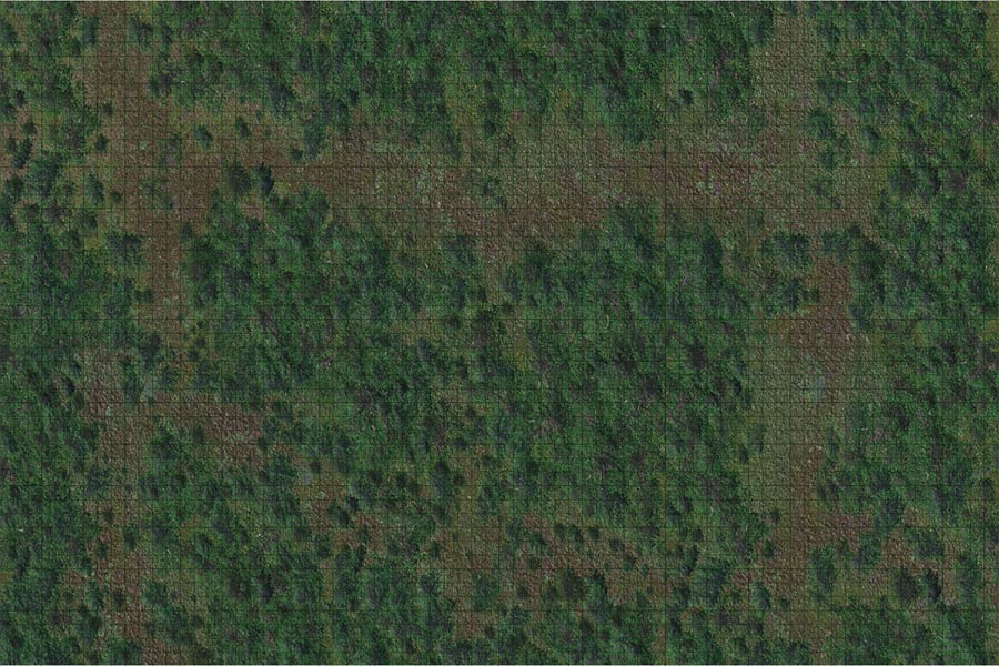 Dungeons & Dragons Icons Of The Realms Battle Mat - Forest